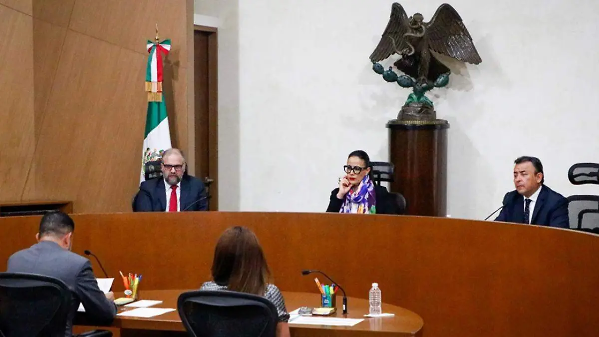 El Partido Verde Ecologista formalizó la queja ante el Tribunal Electoral del Poder Judicial de la Federación (TEPJF)